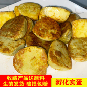 蛋 新鲜实蛋寡蛋孵化8天旺鸡蛋摆摊烧烤非灌装 生 发货送蘸料