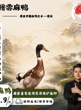 正宗地理标志缙云仔麻鸭