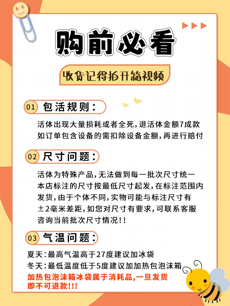 樱桃红蟑螂活体饲料奶茶杯装内含高蛋白饲料守宫食物蜘蛛蝎子蜥蜴