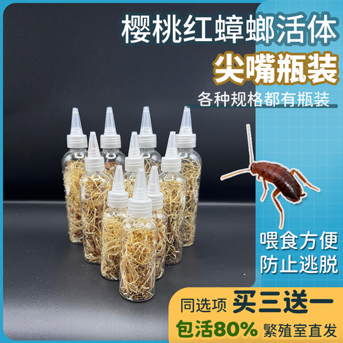 宠物小屋活体饲料佛山顺德