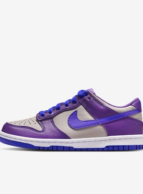 耐克Nike Dunk Low大童平底运动鞋低帮抓地耐穿板鞋FB9109|FJ4641