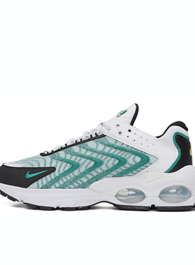 Nike/耐克Air Max TW男子气垫低帮运动休闲鞋DQ3984-102