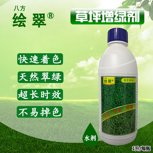 八方绘翠草坪增绿剂一喷就绿快速喷绿染色着色枯草瞬间染绿剂