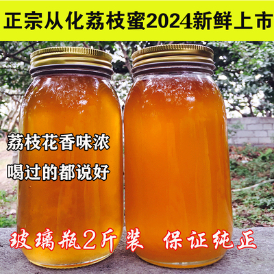 2024年从化荔枝蜜2斤装纯正原蜜