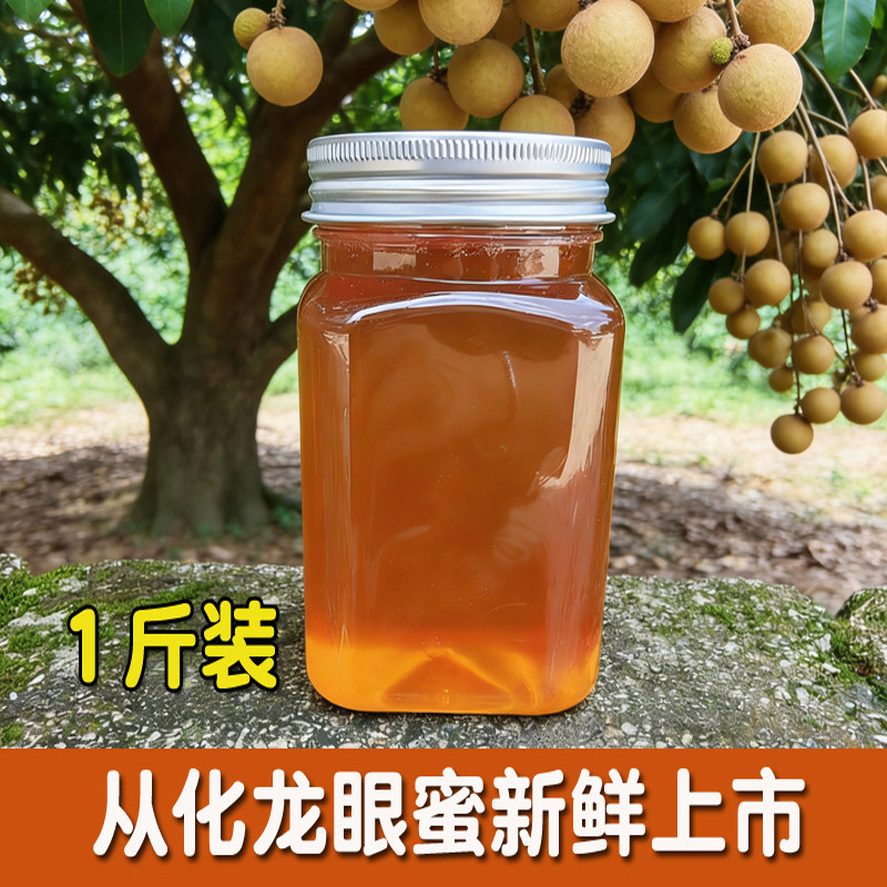 2026从化龙眼蜜土蜂蜜纯正天然农家自产野生桂圆蜜新鲜100%成熟蜜