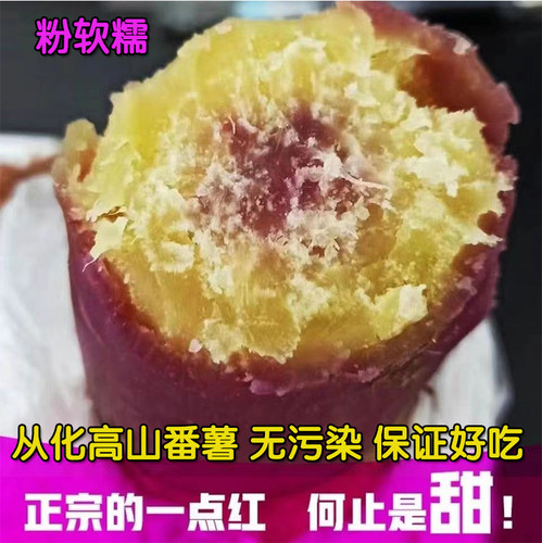 正宗从化一点红番薯板栗番薯新鲜