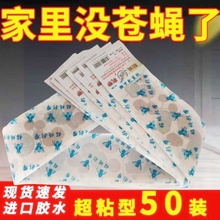苍蝇贴粘蝇彩带粘蚊克星捕灭苍蝇防蚊神器粘蝇纸条诱杀强力家用