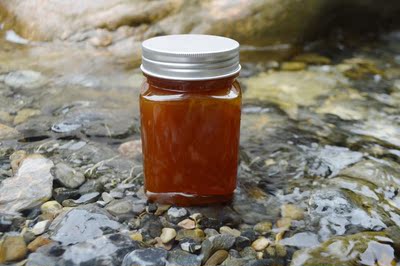 2024秦岭中华蜂药材蜜500g瓶装结晶蜜特价甘肃两当深山木桶陈蜂蜜