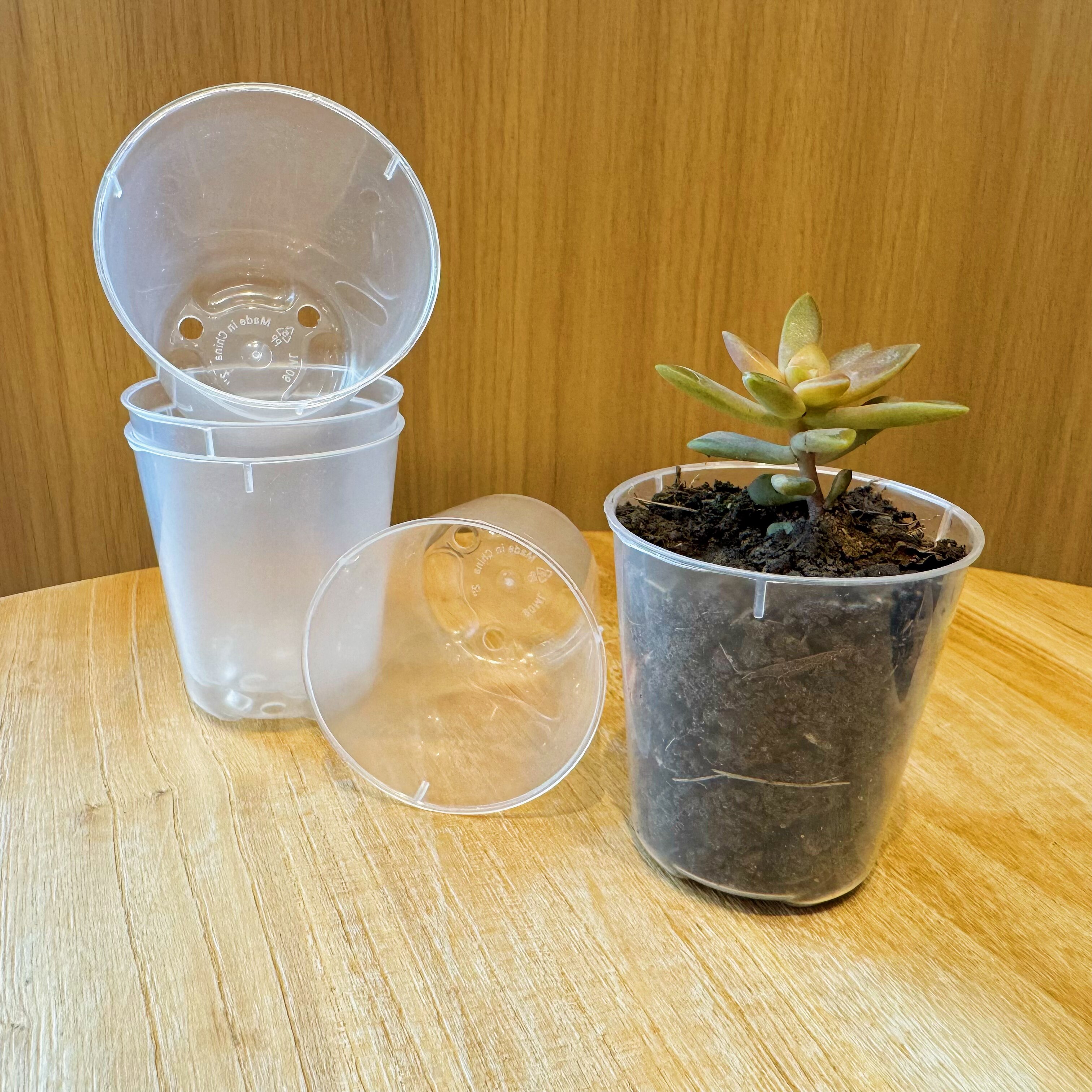 1.7寸迷你拇指花盆透明控根