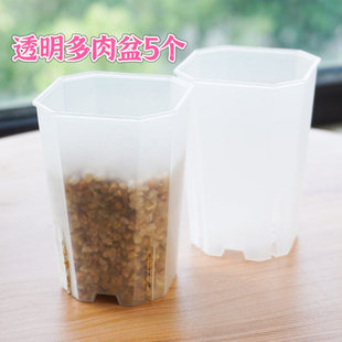 多肉花盆透明玉露十二卷专用盆加厚塑料八角方盆观根盆透气万象盆