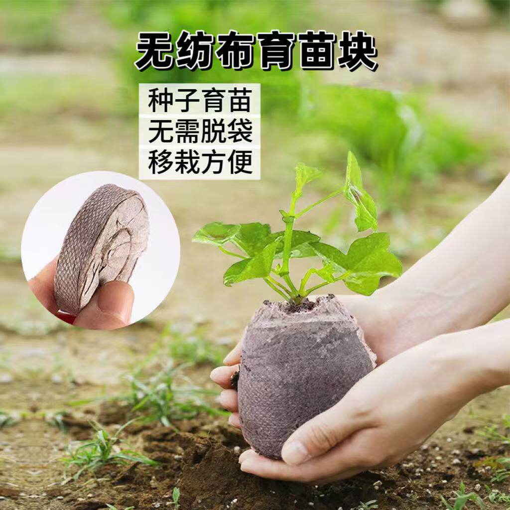 无纺布育苗块培育种子营养土