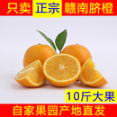 赣南脐橙正宗江西赣州寻乌甜橙子新鲜水果产地直发10斤特级大果