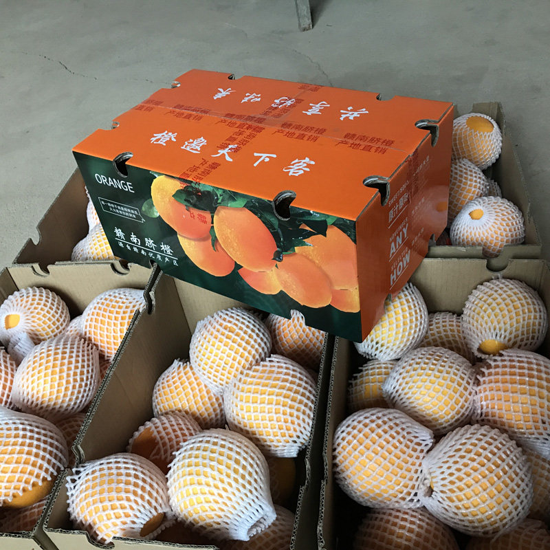 赣南脐橙江西赣州寻乌10斤装