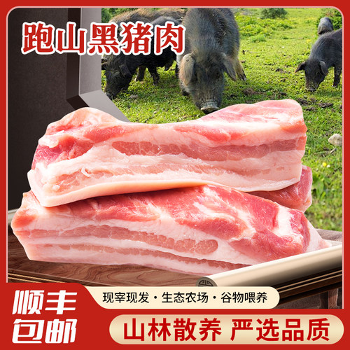 黑猪粮食喂养五花肉新鲜生猪肉