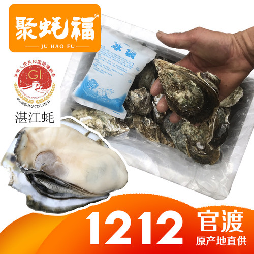 聚蚝福湛江官渡带壳生蚝5斤起