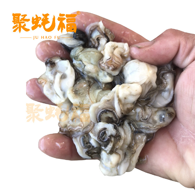 聚蚝福广东湛江官渡生蚝饼极小蚝仔大中123斤家庭餐小食海蛎饼