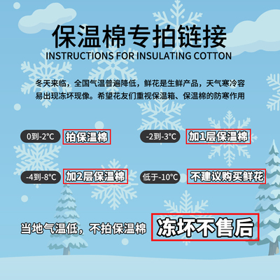 无注册商标零度以下保温棉鲜花