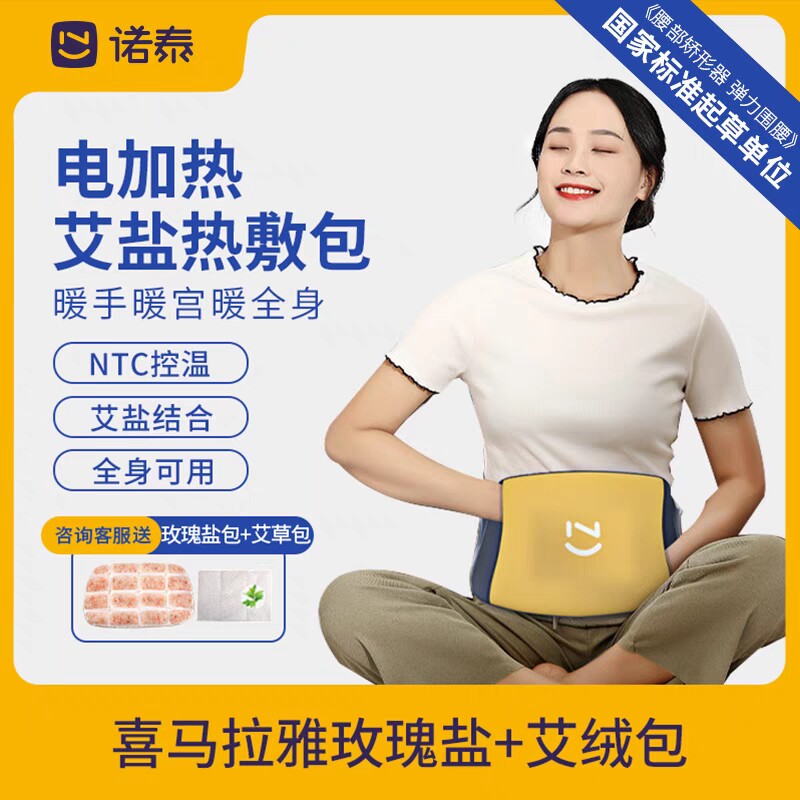 诺泰海盐热敷包盐袋粗盐电加热家用暖宫艾草腰部肩颈椎电热理疗袋