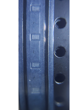 全新原装RCLAMP0531T.TCT-MS SLP1006-2双向 静电和浪涌保护 20个