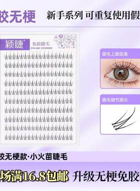 颖睫小火苗无梗免胶免卸单簇分段式女假眼睫毛贴自然逼真浓密仿真