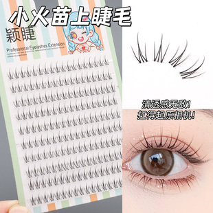 颖睫透明梗小火苗自然逼真裸妆素颜假眼睫毛贴女自己嫁接睫毛套装