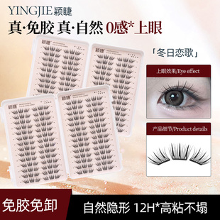 【小薄片】冬季氛围感~颖睫冬日恋歌睫毛书超大容量自然仿真单簇