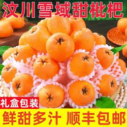 汶川枇杷高山新鲜孕妇当季水果四川白玉甜大琵琶五星特级顺丰包邮