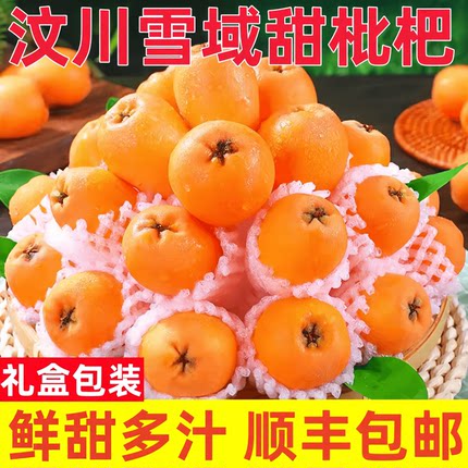 汶川枇杷高山新鲜孕妇当季水果四川白玉甜大琵琶五星特级顺丰包邮
