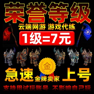 魔兽世界代练荣誉等级坐骑1-500级声威青铜骏马荣誉战旗背部玩具
