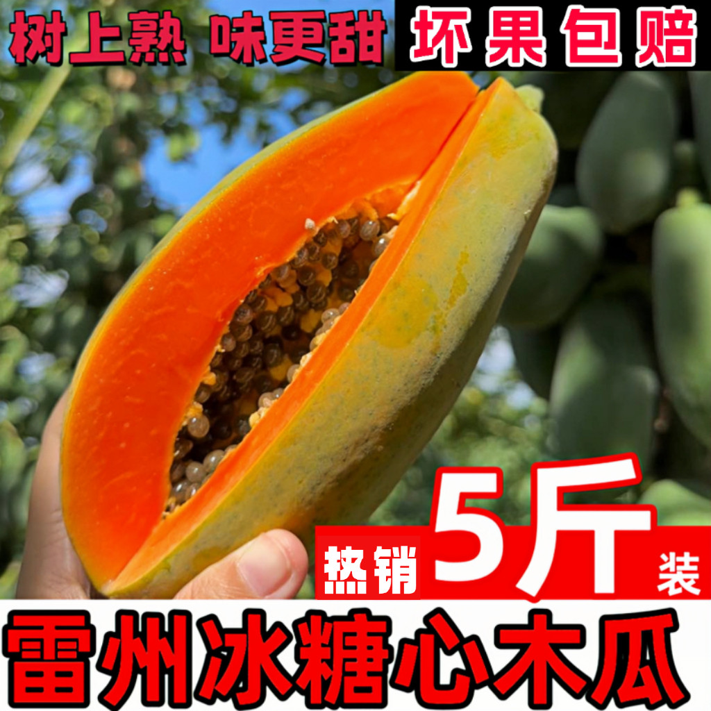 树上熟红心冰糖木瓜热销1000+