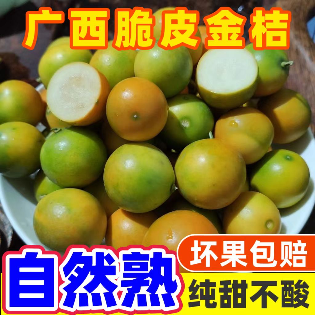 广西桂林脆皮金桔现摘现发