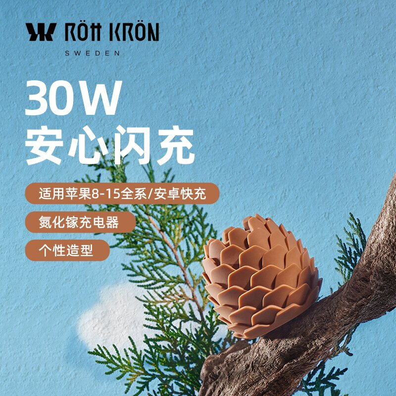 ROttKRON折叠款充电头