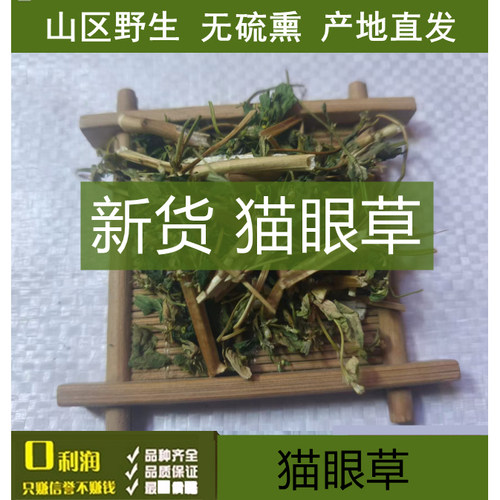野生泽漆中药材 猫儿草整颗带根新鲜干品五朵云 猫眼草500克包邮