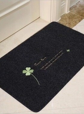 Entrance bathroom door mat entrance door carpet entrance