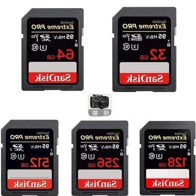 Canon SLR/MSD Digital Camera Storage Card CF Memory Card SD