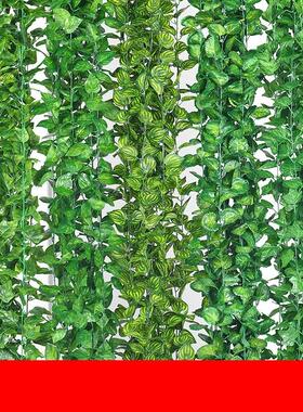 Cane vines fake plant outdoor hanging flower leaves and