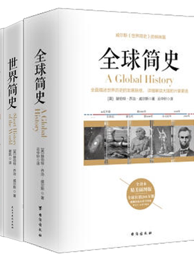 【含手绘插图】正版包邮 套装共4册 地球简史+人类简史+世界简史+全球简史 自然科学 青少年成人阅读知识读物人文历史类书籍rw