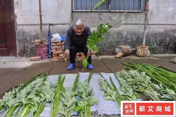 端午节新鲜【艾草+菖蒲】整棵挂门民俗 煮水泡脚洗澡菖蒲艾蒿熏蚊