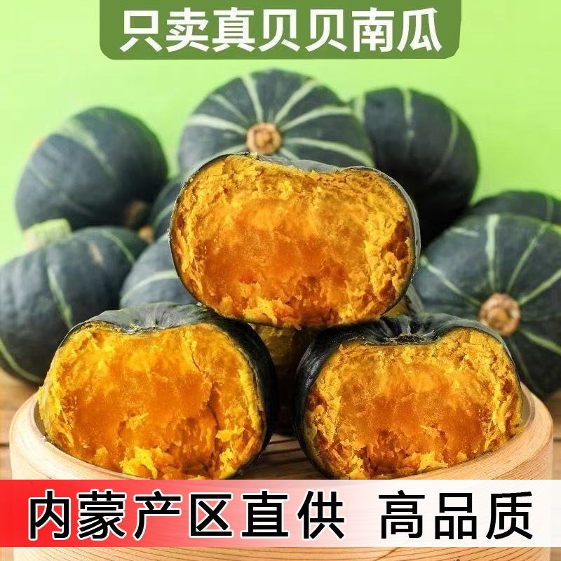 内蒙现摘贝贝南瓜粉糯香甜辅食