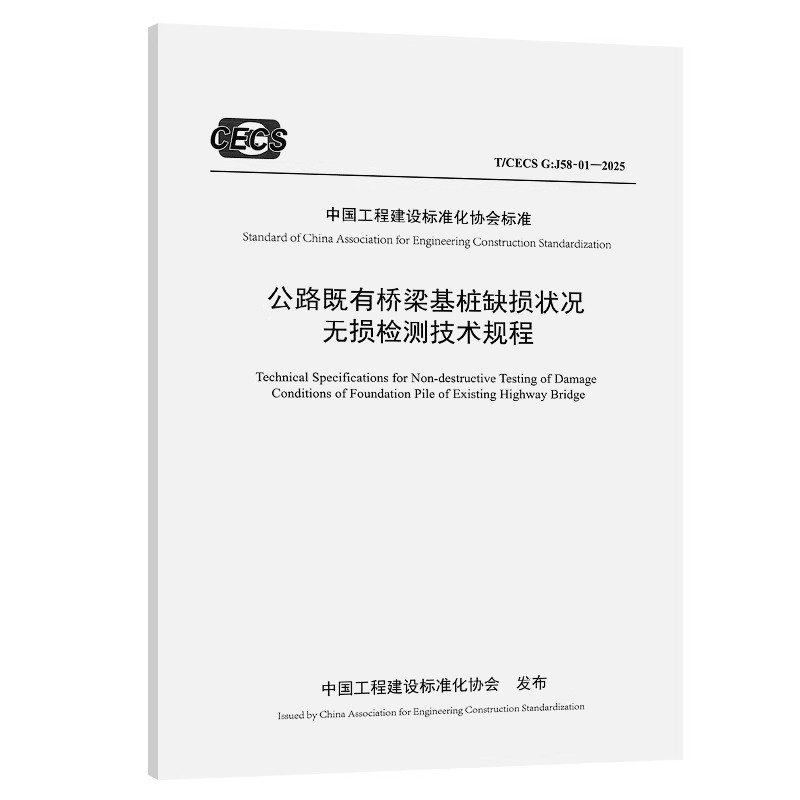 T/CECS G：J58-01-2025公路既有桥梁基桩缺损状况无损检测技术规程