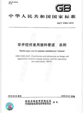 GB/T 37862-2019非开挖修复用塑料管道 总则