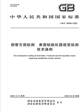 GB/T 46608-2025 钢管无损检测 表面缺陷机器视觉检测技术通则
