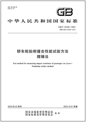GB/T30195-2023轿车轮胎耐