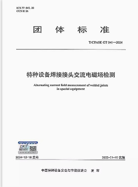 T/CPASE GT 041-2024 特种设备焊接接头交流电磁场检测