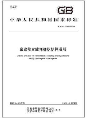 GB/T 45482-2025企业综合能耗确权核算通则
