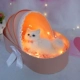 Подарочная коробка гнезда розового кошачьего кошачья -белая белая № 3 лежащая кошка растягивание и ручная сумка