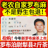 新疆野生头茬罗布麻茶叶特产级正品 非萝卜麻养生茶叶 新芽