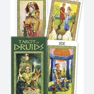 Druids 德鲁伊塔罗牌 Tarot