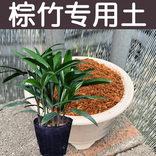 棕竹土酸性透气透水配方营养土专用土盆栽花卉绿植种植土花泥花肥