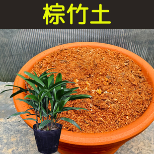 棕竹土酸性透气透水配方营养土专用土盆栽花卉绿植种植土花泥花肥